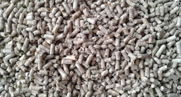 Jak krmit brojlery od prvního dne do porážky?